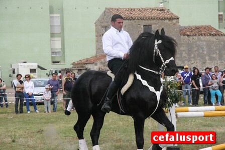 100602_Ippoclub2 070_tn.jpg
